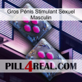 Gros Pénis Stimulant Sexuel Masculin 01